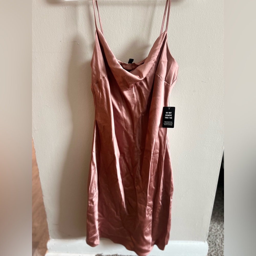 Express Strapless Blush Dress